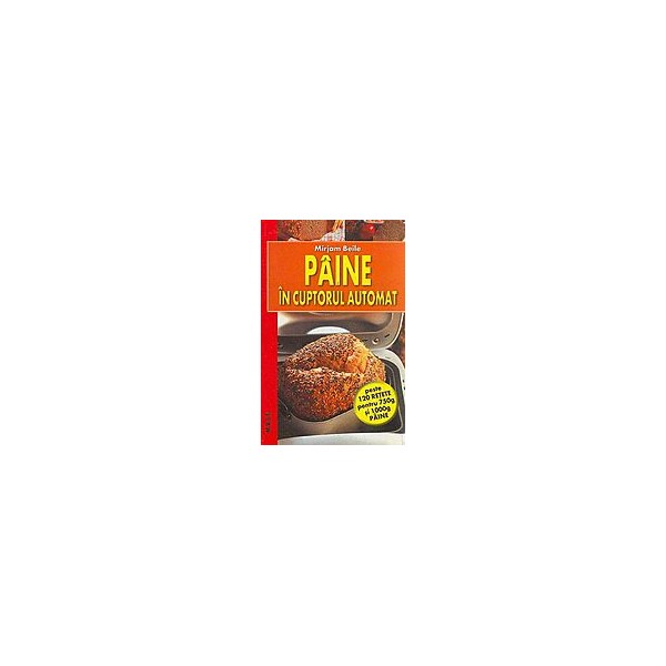 Paine in cuptorul automat