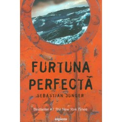Furtuna perfecta
