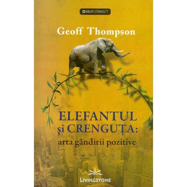 Elefantul si crenguta: arta gandirii pozitive