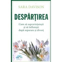 Despartirea. Cum sa...
