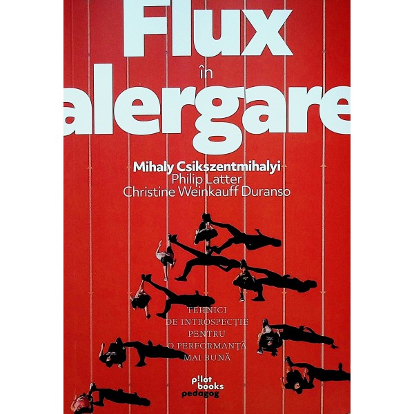 Flux in alergare. Tehnici de introspectie pentru o performanta mai buna