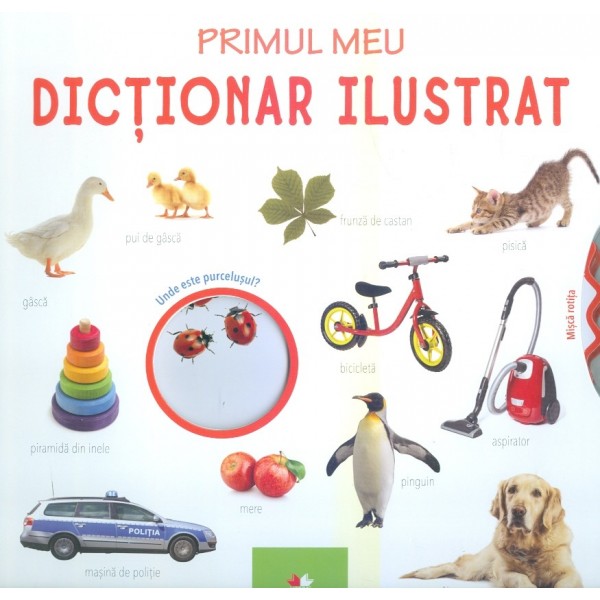 Primul meu dictionar ilustrat