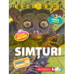 Simturi