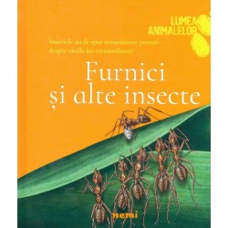 Furnici si alte insecte