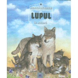 Lupul - Animale salbatice in natura