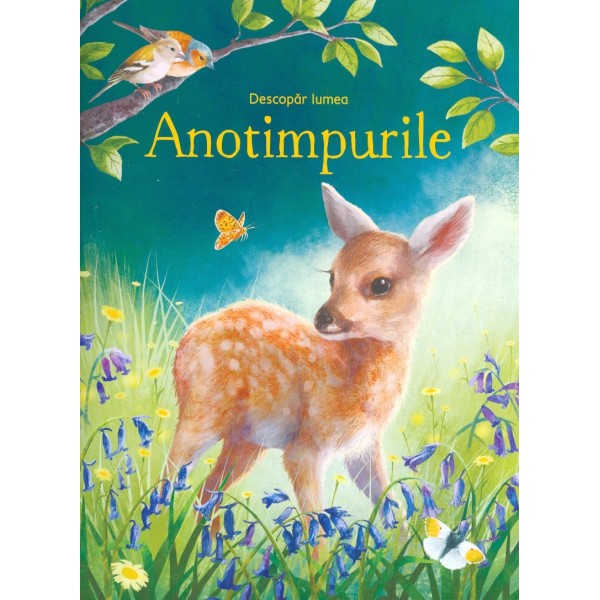 Anotimpurile
