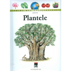 Plantele