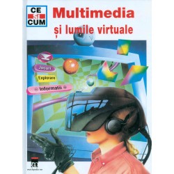 Multimedia si lumile virtuale