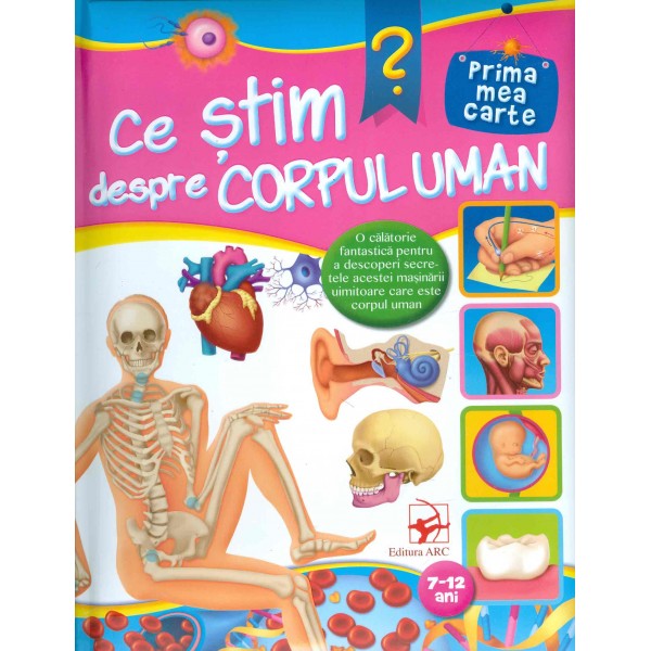 Ce stim despre corpul uman?