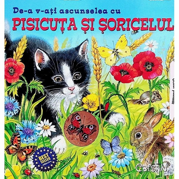 De-a v-ati ascunselea cu Pisicuta si soricelul