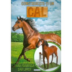 Construieste-ti un cal