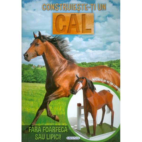 Construieste-ti un cal