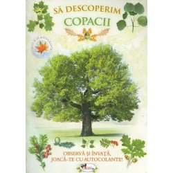 Sa descoperim copacii