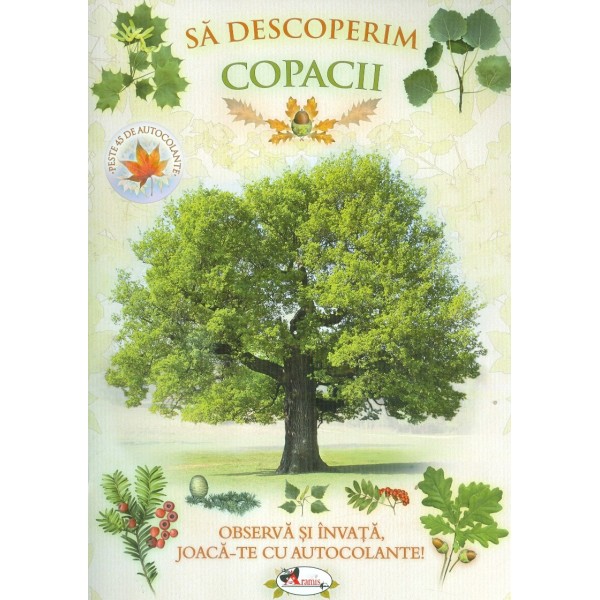 Sa descoperim copacii
