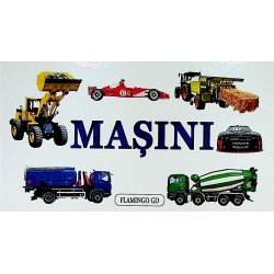 Masini