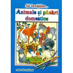 Anbimale si pasari...