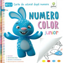 Numero color junior. Carte de colorat dupa numere, 2-1/2-4 ani