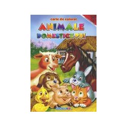 Animale domestice, pui -...