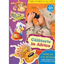 Calatorie in Africa