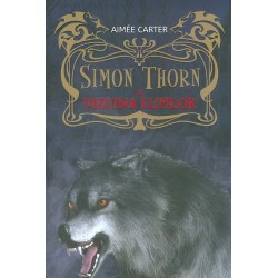 Simon Thorn si viziunea...