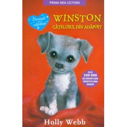 Winston, catelusul din adapost