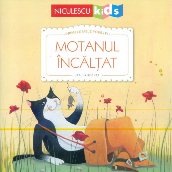 Motanul incaltat