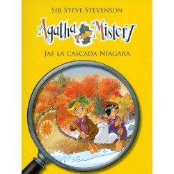 Jaf la cascada Niagara