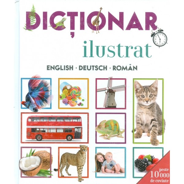 Dictionar ilustrat english-deutsch-roman
