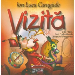 Vizita