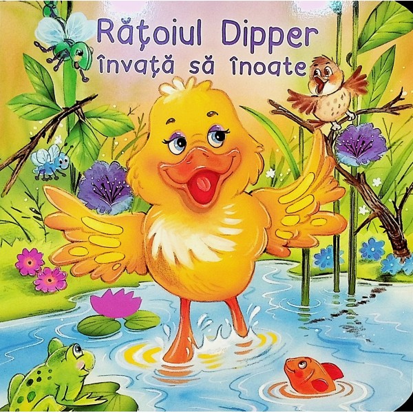 Ratoiul Dipper invata sa inoate