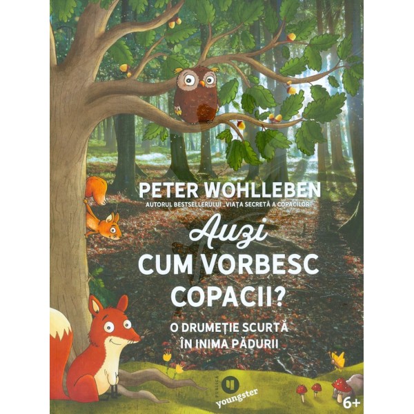 Auzi cum vorbesc copacii? O drumetie scurta in inima padurii