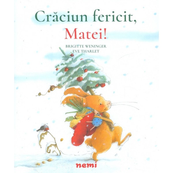 Craciun fericit, Matei!