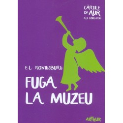 Fuga la muzeu