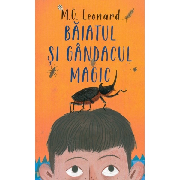 Baiatul si gandacul magic