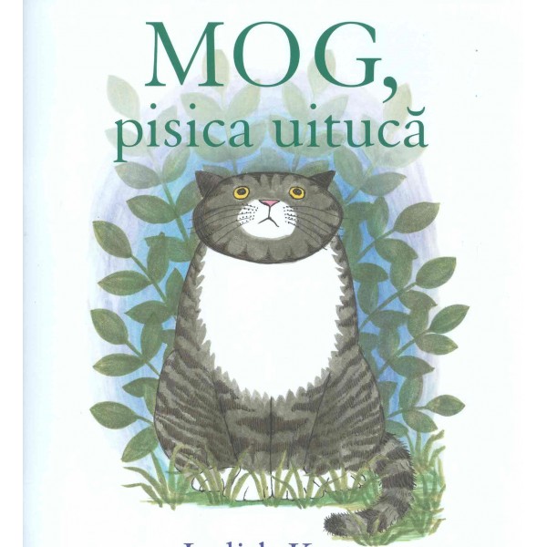 Mog, pisica uituca