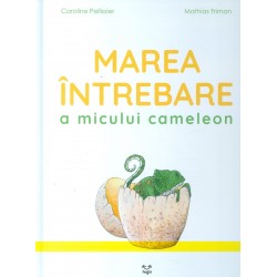 Marea intrebare a micului...