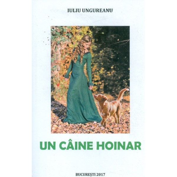 Un caine hoinar