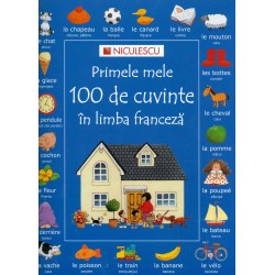 Primele mele 100 de cuvinte...