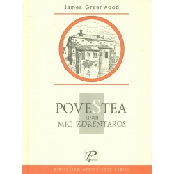 Povestea unui mic zdrentaros