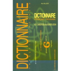 Dictionnaire...