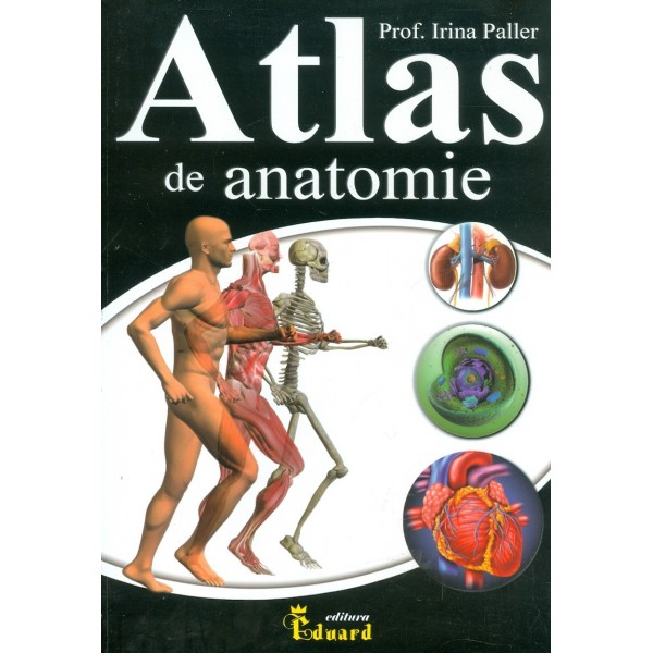 Atlas de anatomie