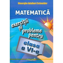 Matematica. Exercitii si probleme pentru clasa a VI-a