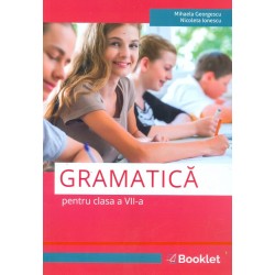 Gramatica pentru clasa a VII-a