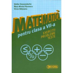 Matematica, clasa a VII-a -...