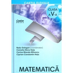 Matematica, clasa a V-a -...