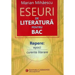 Eseuri de literatura pentru...