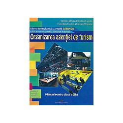 Organizarea agentiei de...