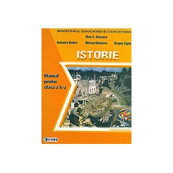 Istorie, clasa a X-a