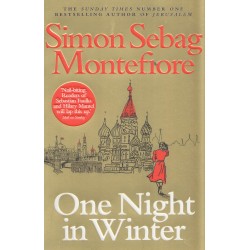 One Night in Winter