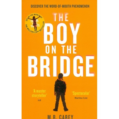 The Boy on the Bridge
